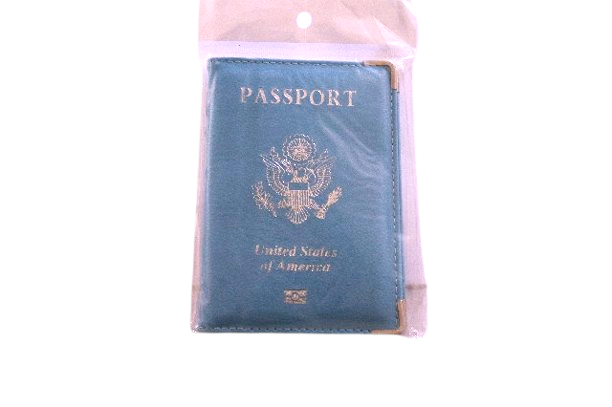 Zagran pasport daşy